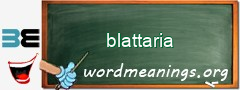 WordMeaning blackboard for blattaria